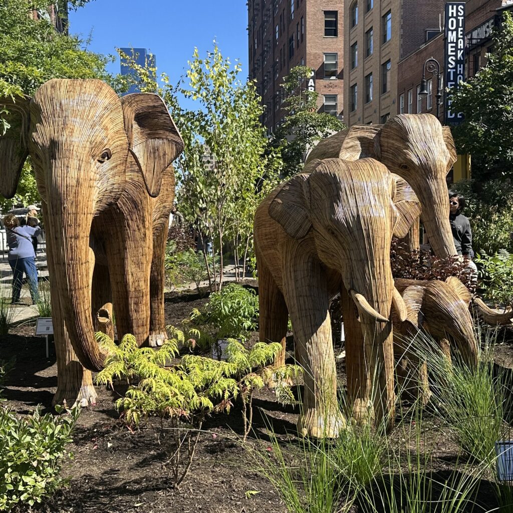 Herding The Weekend…