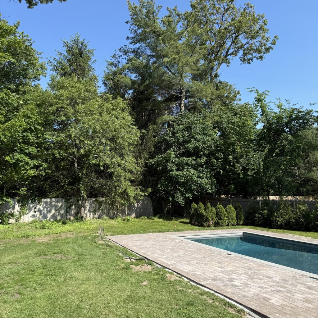 The Sounds Of Silence…