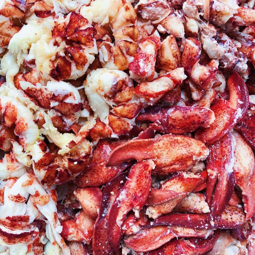 Lobster Lollapalooza…
