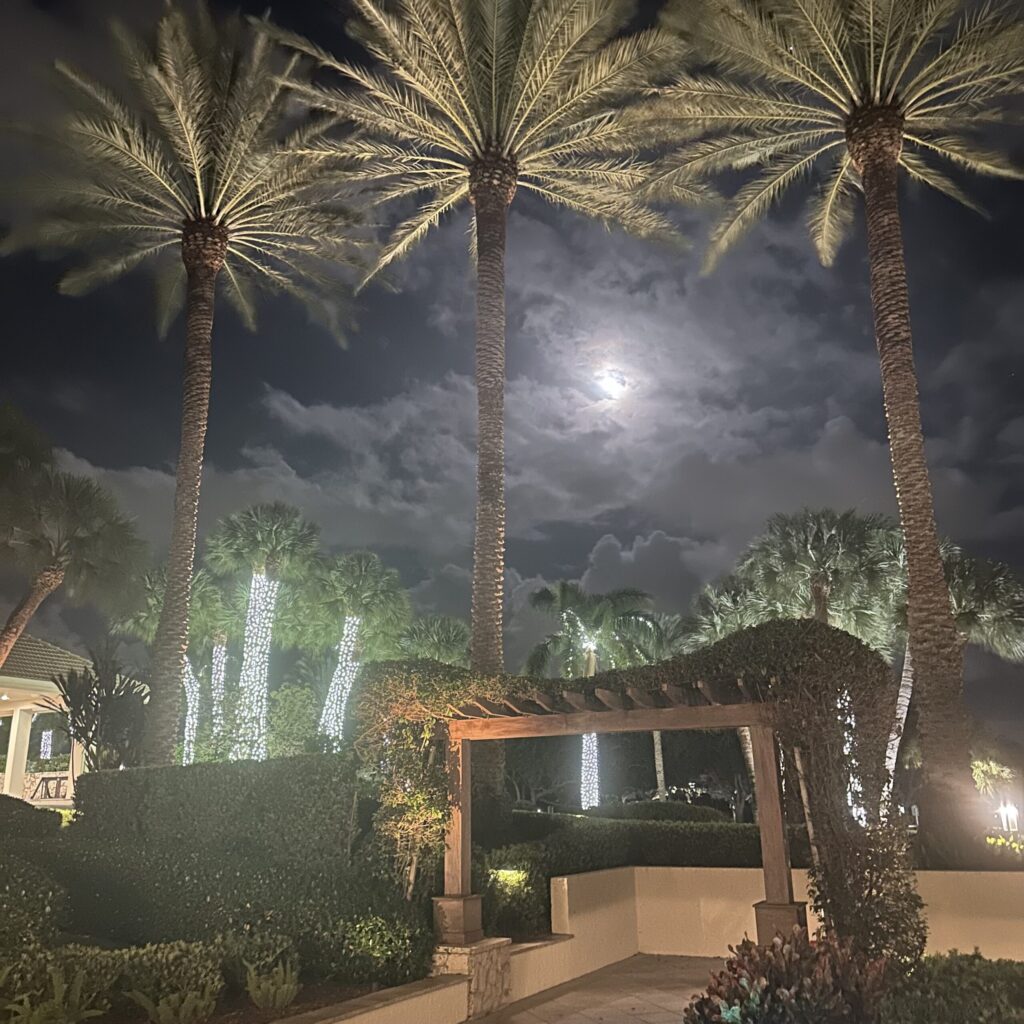 I Don’t Want To Miss A Thing…