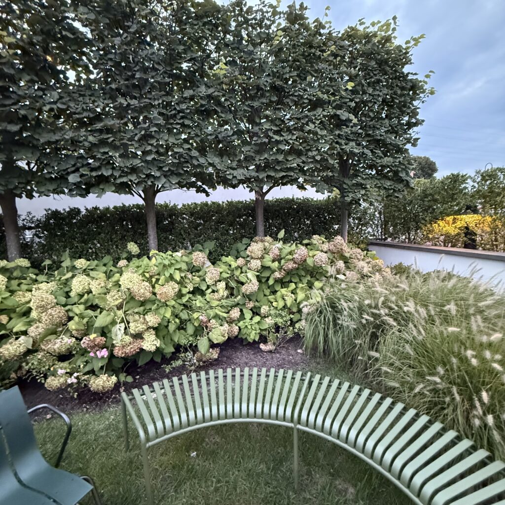 Should You Canoe…Hamptons Restaurant Review