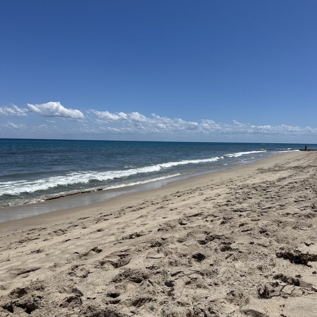 What’s Going On…