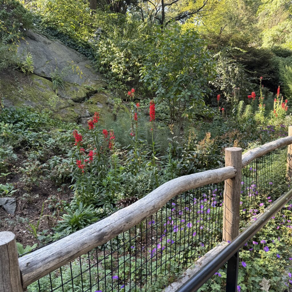 C’mon Get Happy…