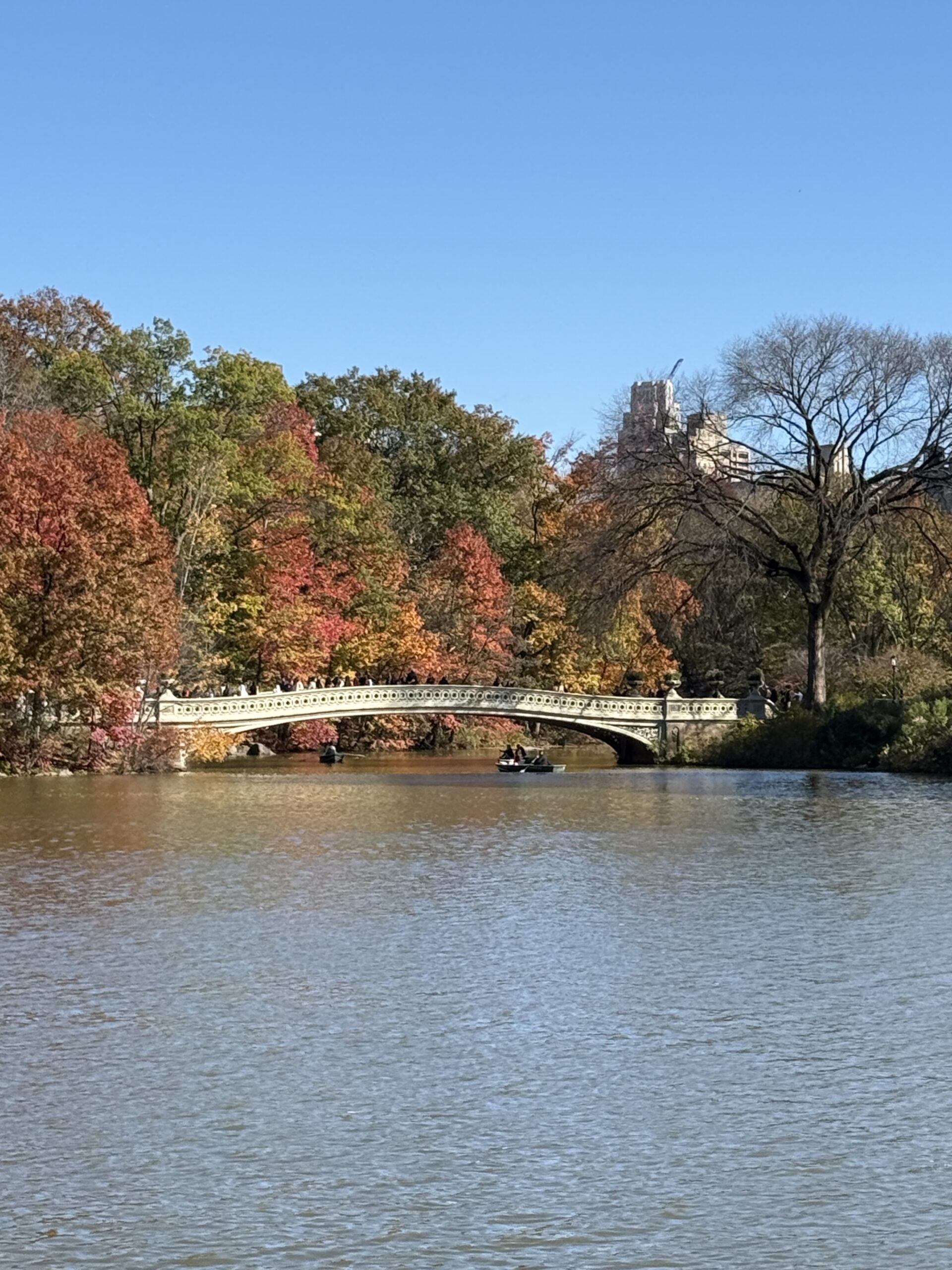 The World Is On Fire. I Need A Nap…