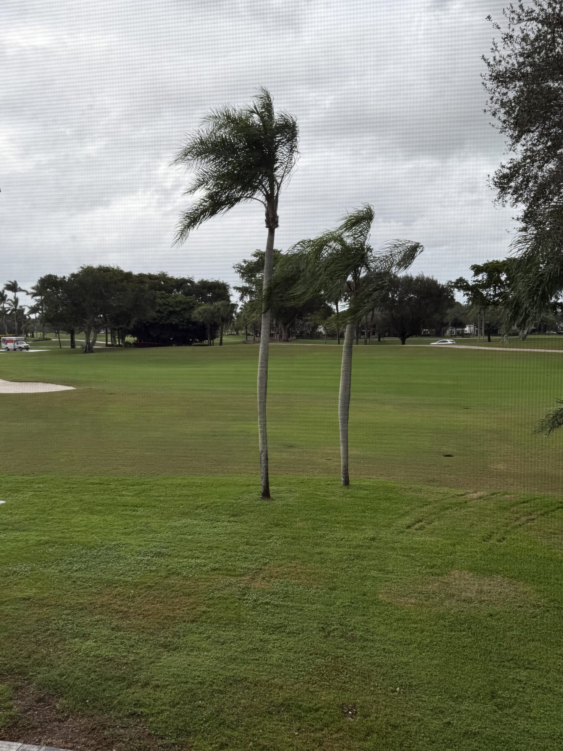 I Love A Rainy Day…