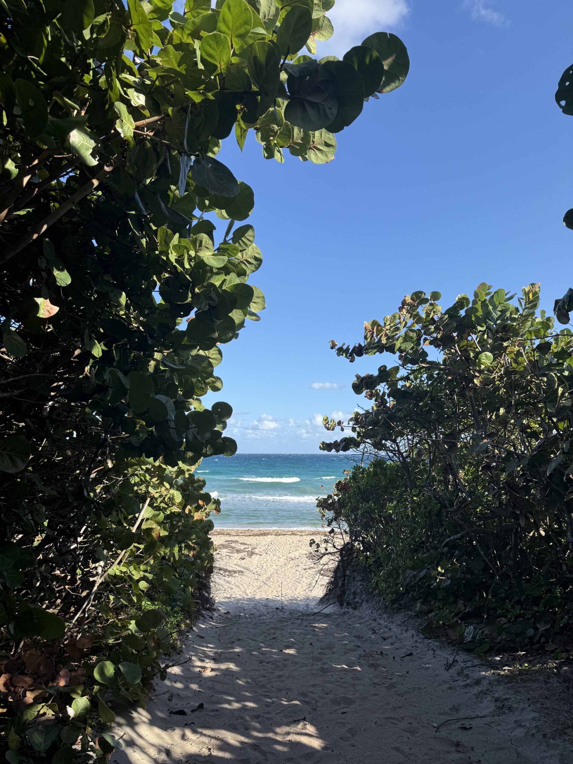 Holiday Perfection…