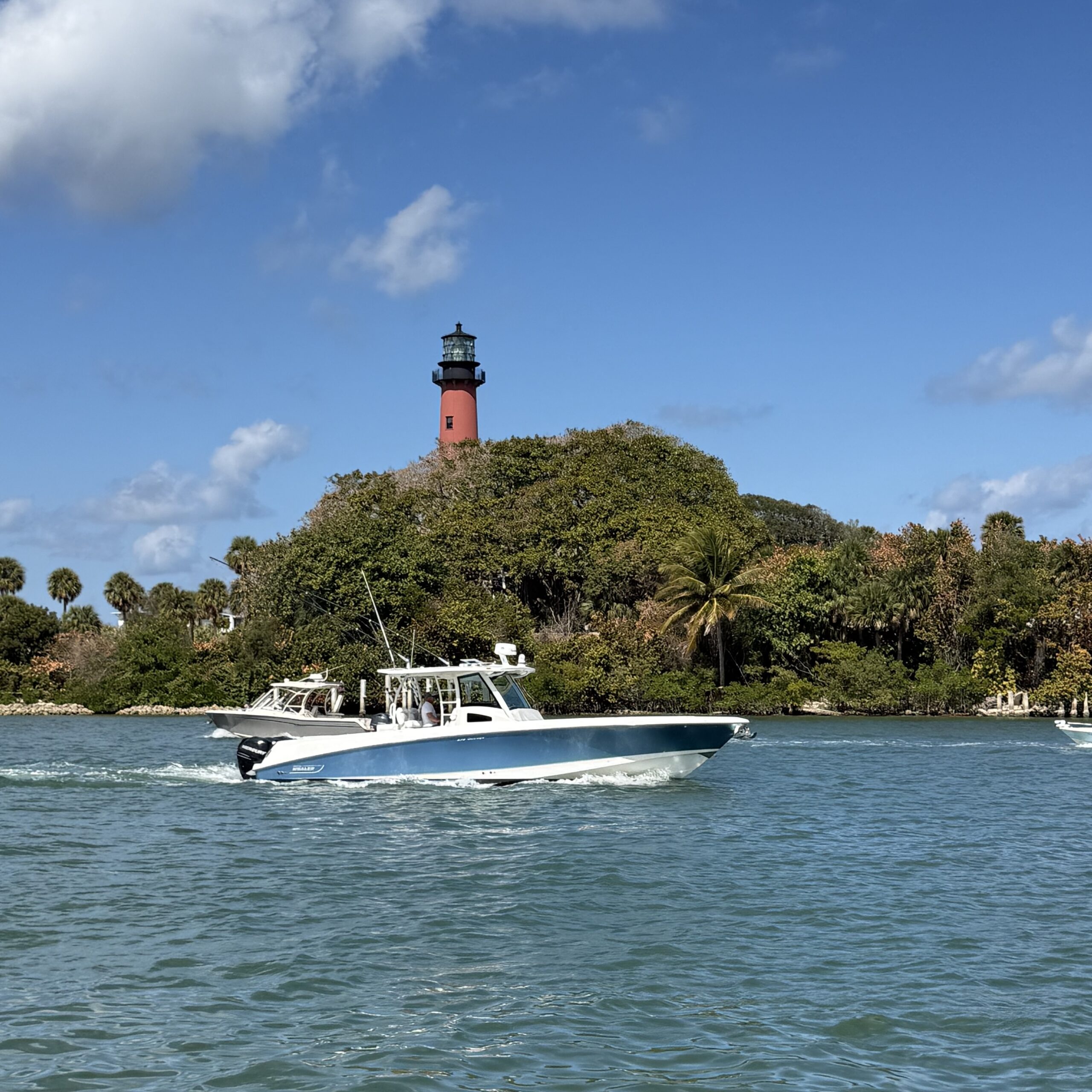 Love Is in The Air…