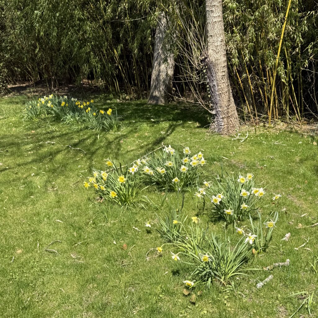 It Might As Well Be Spring…