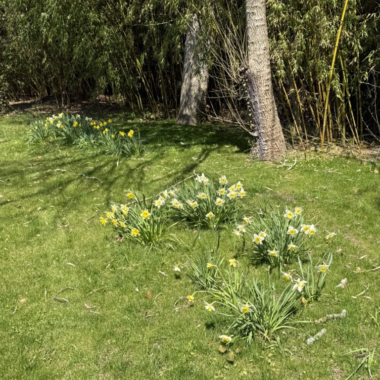 It Might As Well Be Spring…