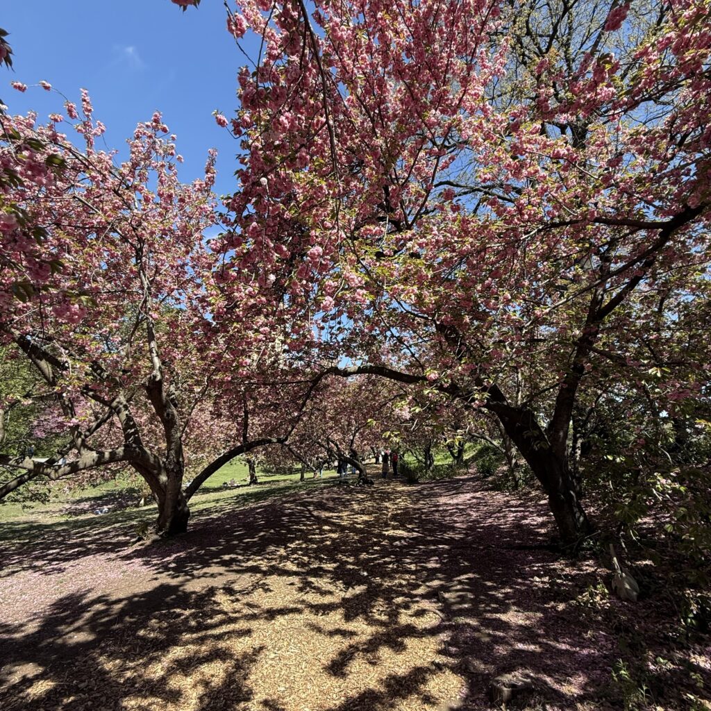 Central To The City…