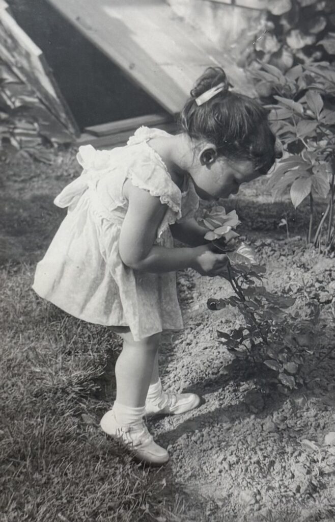 Take Time To Smell The Roses…