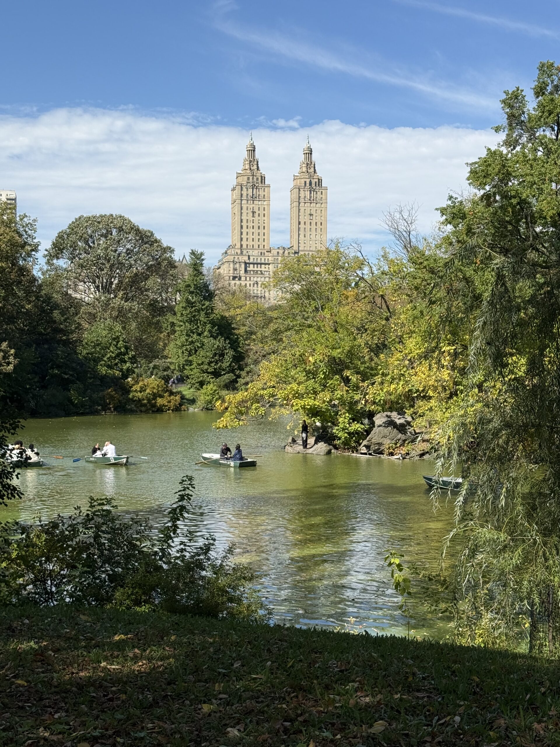 Central Park Perfection…